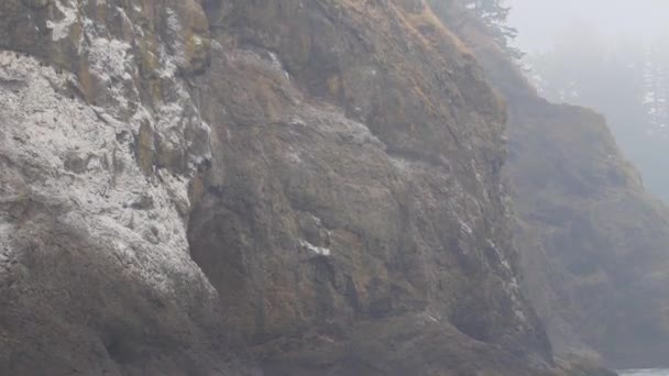 Felswand mit Vegetation und Waldbäumen im Nebel — Stockvideo