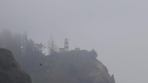 Баклан летит рядом с маяком на вершине скалы — стоковое видео