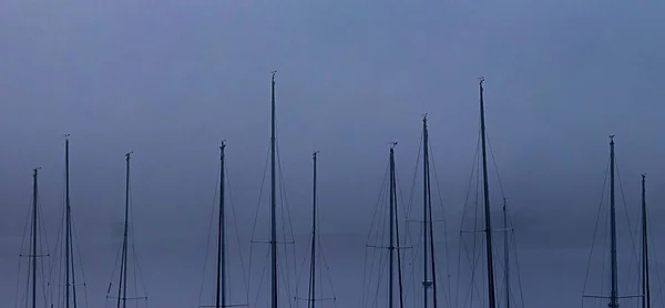 Strati di nebbia being alberi barca a vela — Foto Stock