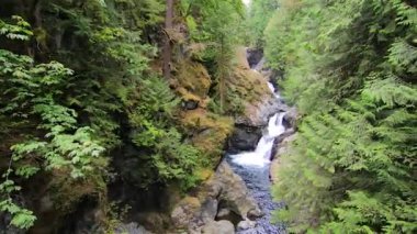 derin yeşil orman ve sendromlari şelaleler yukarıdan veiw