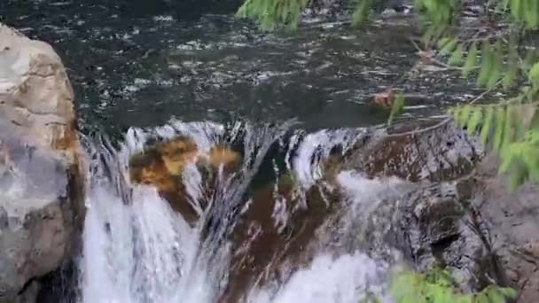 Slow motion water pouring over rocks at top of falls — Stock Video