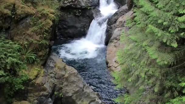 暗いプールと滝のふもとの川 — ストック動画
