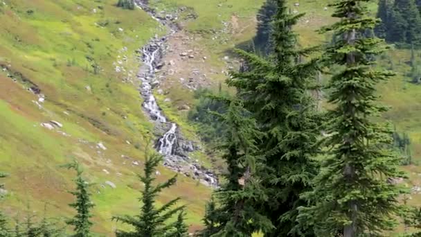 Schwenk über Bergwiesen mit Fluss — Stockvideo