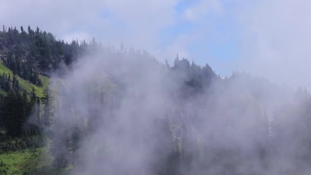 Белые тучи над горным лесом — стоковое видео