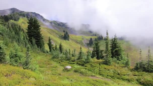 Recht pannen over bergweiden — Stockvideo