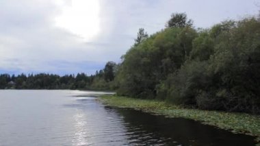 kıyı Gölü lilypads ve yeşil ormanlık kıyı boyunca puslu günü