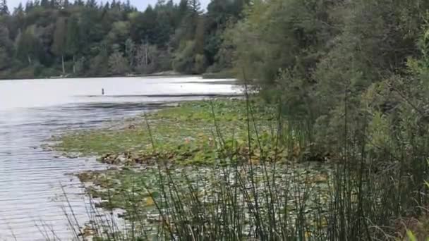 Posouvání dolů pobřeží jezera letní pohled na zamlžený den — Stock video