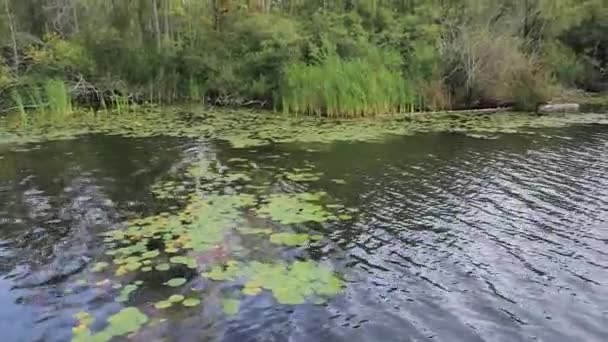 Kabbelend water in wind pannen tot groene zomer bomen onder de wolken — Stockvideo
