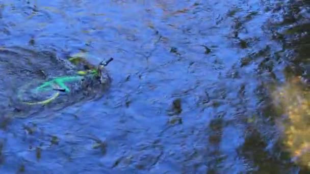 Bicicleta Verde Amarilla Sentada Bajo Agua Abandonada Río Temporada Verano — Vídeo de stock
