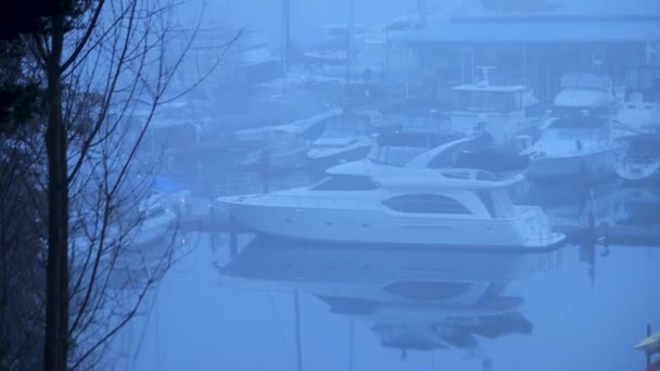 Blue hour over a rural marina in fall — стоковое видео