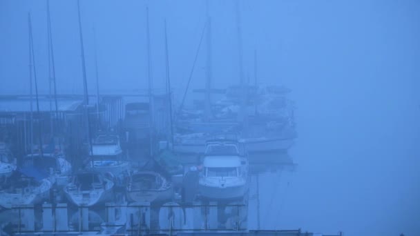 Hora azul sobre un puerto deportivo rural en otoño con aguas tranquilas en el lado derecho — Vídeo de stock