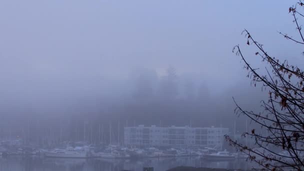 Alter Yachthafen Nebel Voller Boote — Stockvideo