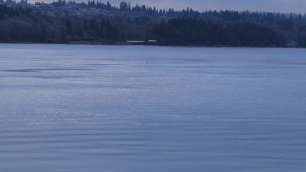 oiseau rapide vole à travers l'eau 