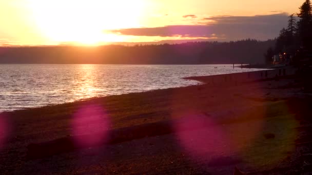 Rocky shoreline at dusk under bright sunset — Stock Video