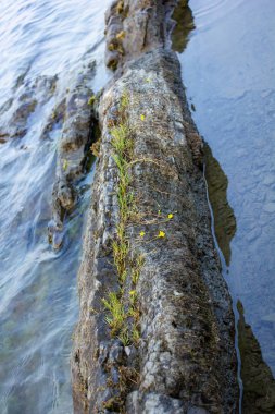 kayalık moss ile Göl boyunca yaz aylarında çıkıntının