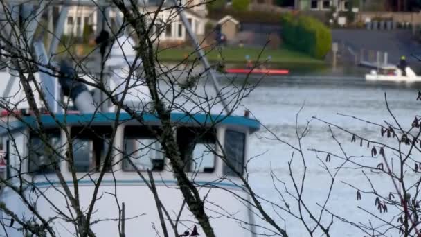 Kayaks reman detrás de un grupo de barcos muelles y árboles — Vídeos de Stock