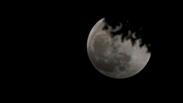 Super moon with lower half darker from eclipse start behind branches at night — Stock Video