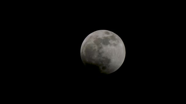 Ombra di eclips su metà più bassa di luna eccellente in cielo scuro — Video Stock