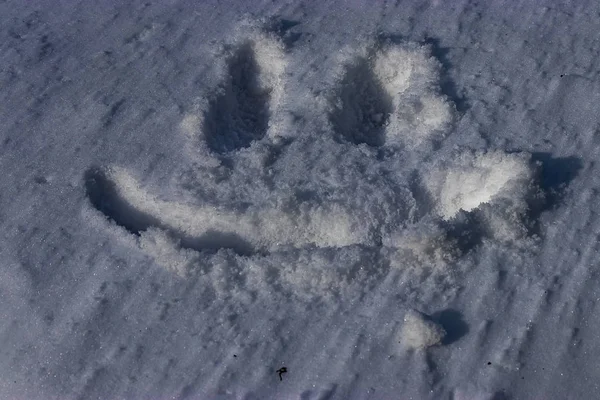 smiley face drawn in the snow