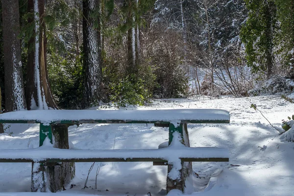 Banco verde del parque cubierto de nieve blanca — Foto de Stock