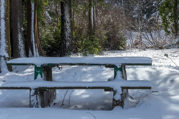 Белый снег, покрывающий скамейку в зеленом парке — стоковое фото