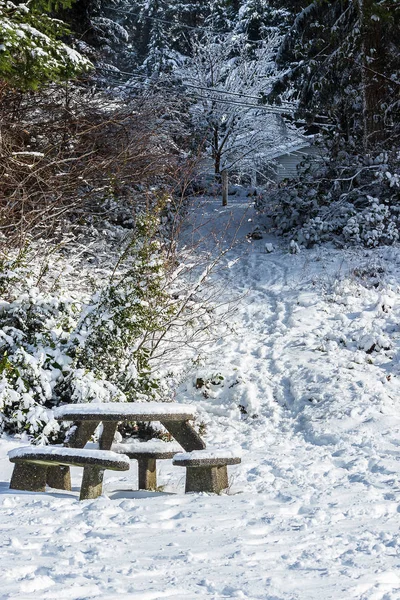 Camino que conduce a un banco del parque enterrado en la nieve — Foto de Stock
