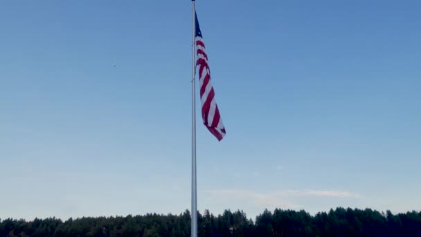 Bandeira pendurada contra o céu azul e avião pequeno — Vídeo de Stock