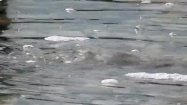 Burbujas de agua desde el agua bajo la superficie del estanque — Vídeo de stock