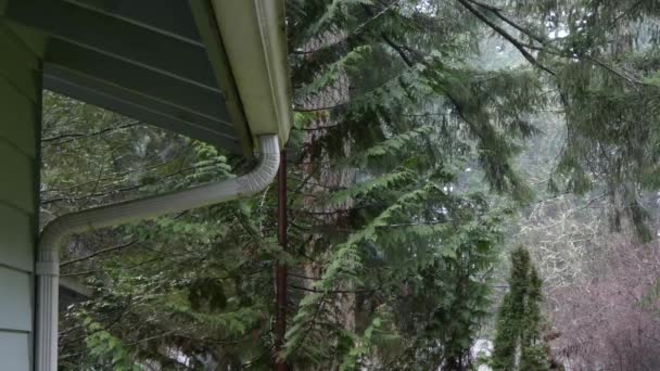 Regen druppelt af van residentiële goot — Stockvideo