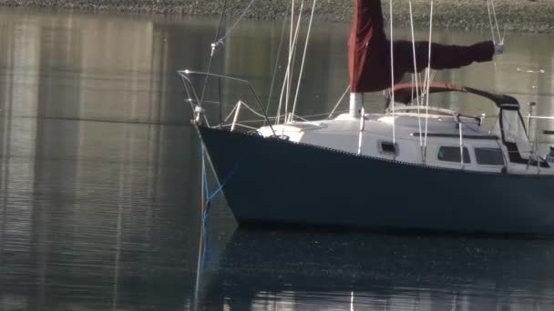 水に浮かぶボート — ストック動画