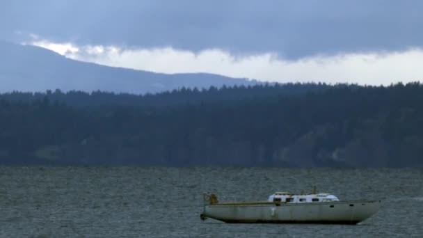 Bateau flottant sur les eaux calmes du son puget en soirée — Video