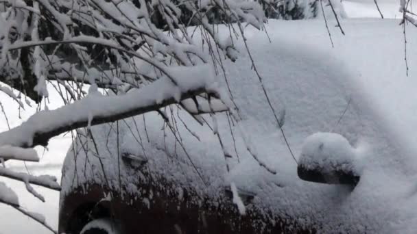 Bil sitter i uppfart under kraftig snöfall på vintern — Stockvideo