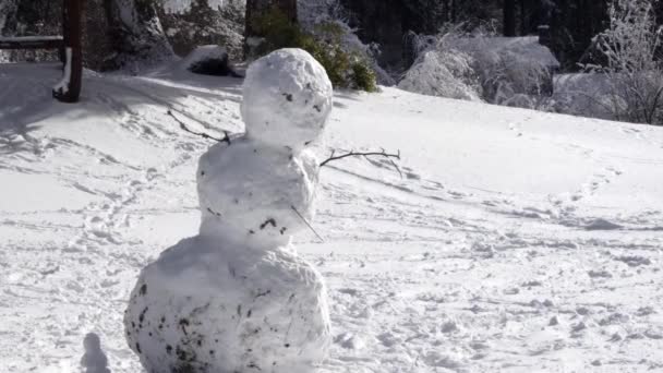 Bonhomme de neige tordu penché sur le côté que le soleil brille vers le bas sur le parc enneigé — Video
