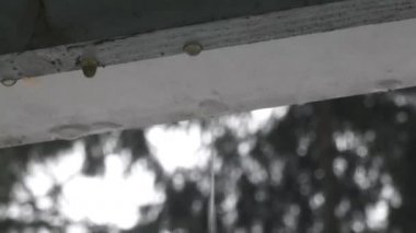Çatıdan kar eriydikten sonra çatı çizgisi damlama