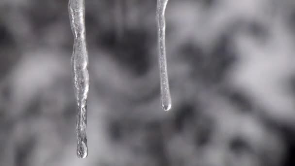 Два блестящих сосульки тают в сильном снегопаде — стоковое видео