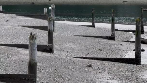 Vieux pieux s'élevant du sable avec la lumière et l'ombre — Video