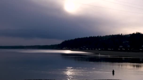 Чоловік блукає в озері біля мосту — стокове відео
