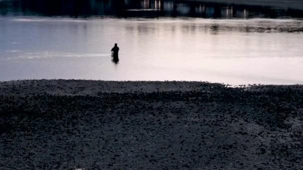 男は浅瀬で水遊びをした — ストック動画