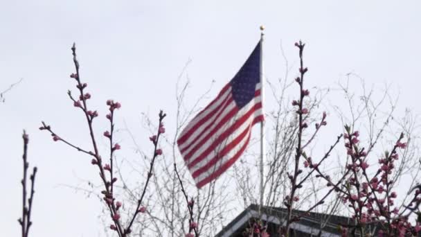 Waving flag in wind over spring blooms — Stock Video