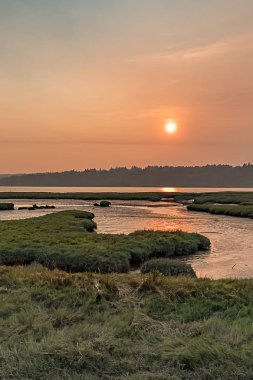 Ses boyunca otlak sulak gün batımı 