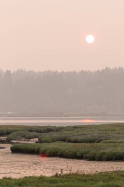sulak alanlar ile ses üzerinde orman tarafından günbatımı