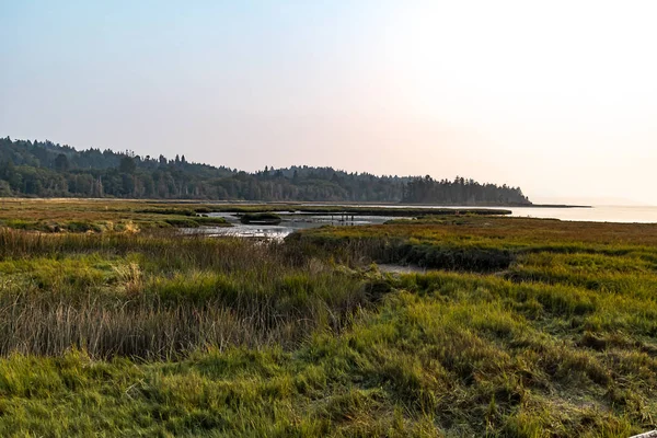 Prairies humides le long du son — Photo