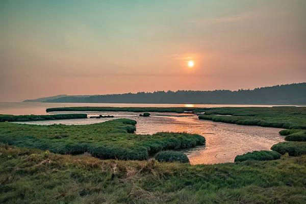 stock image wetlands at sunset along the northwwest sound