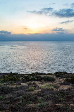 bitki ile uçurumdan sis ile Pasifik Okyanusu üzerinde gündoğumu