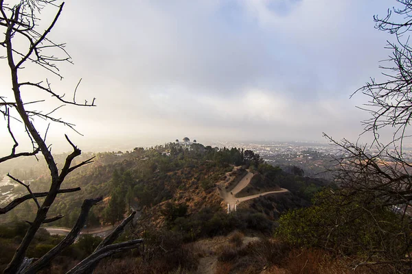 Dommages par le feu à flanc de colline surplombant l'observatoire Griffith — Photo