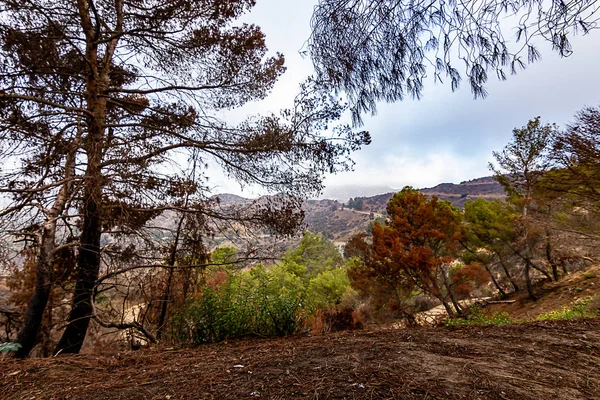Los angeles Daños en la ladera de la colina por incendio y sequía — Foto de Stock