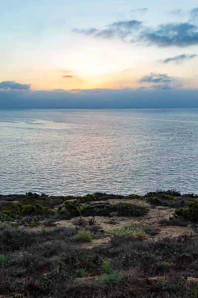 bitki ile uçurumdan sis ile Pasifik Okyanusu üzerinde gündoğumu