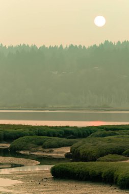 Wetland gün batımında sis ses