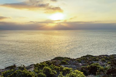 çiçek açan bitkiler ile uçurumun tarafındaki güneşin doğuşunda Pasifik Okyanusu üzerinde güneş ışınları