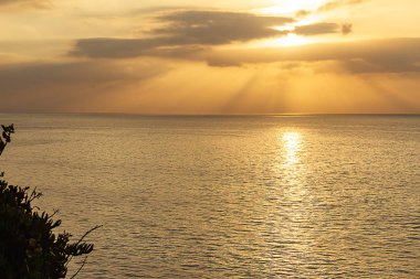 gündoğumu güneş ışınları ile Pasifik Okyanusu karşı Bush siluet,